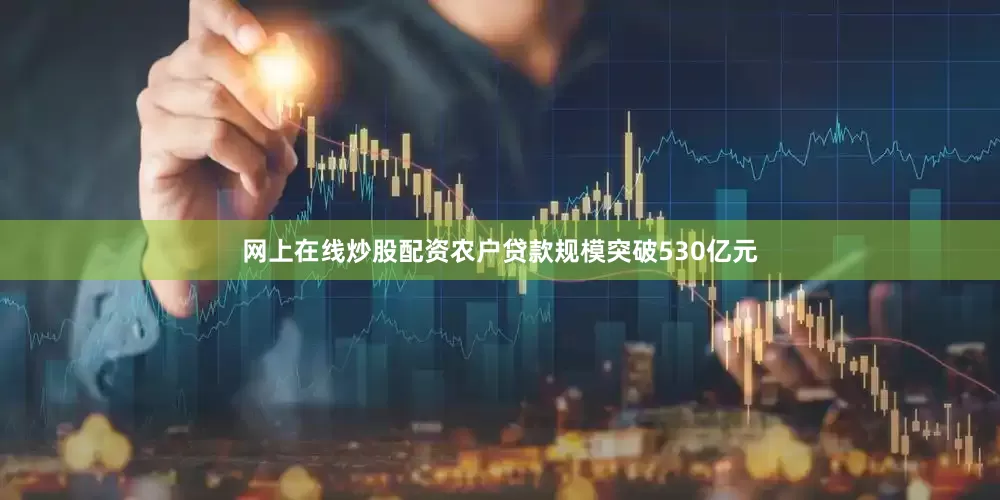 网上在线炒股配资农户贷款规模突破530亿元